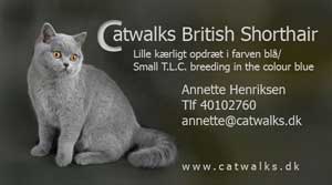 Catwalk British